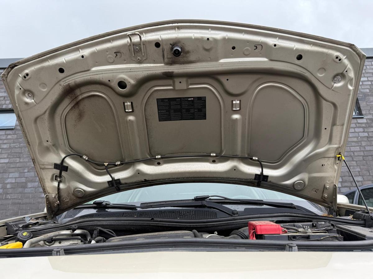 Renault Megane 2 original Motorhaube Dakotabeige BJ08